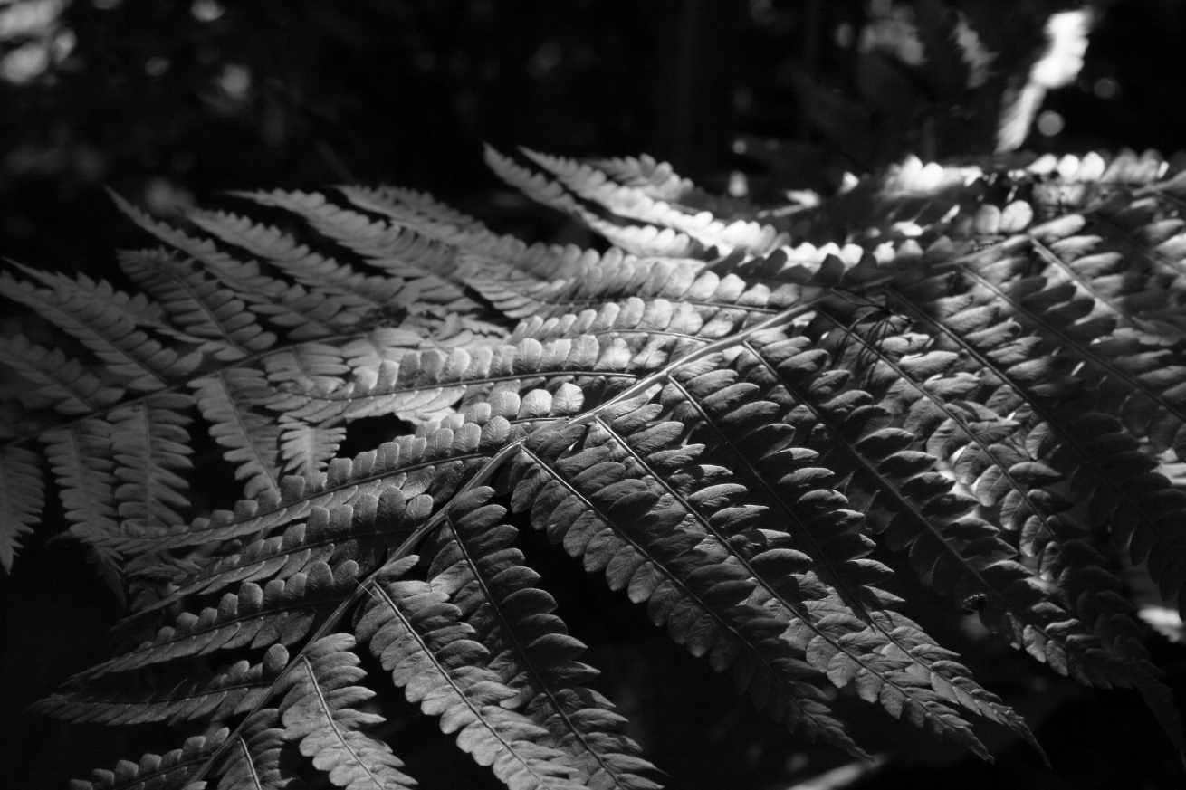 2015 06 07 HTP 000063863